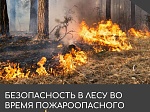 Пожароопасный период: главные правила безопасности